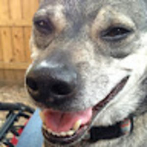 Meet your Posher, Walter